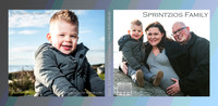 Sprintzios Family January 2019